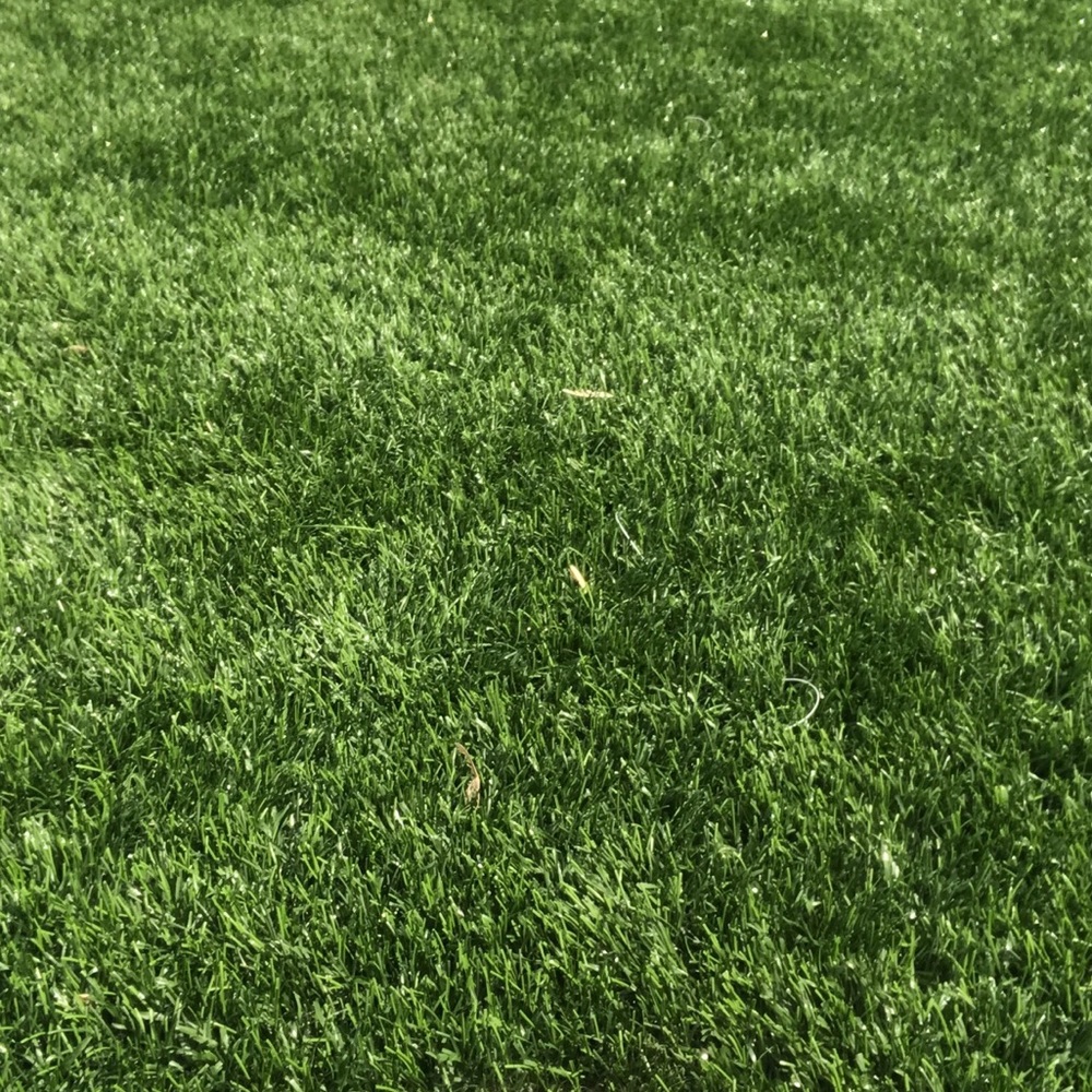 Meet your Posher, Kaitlyn